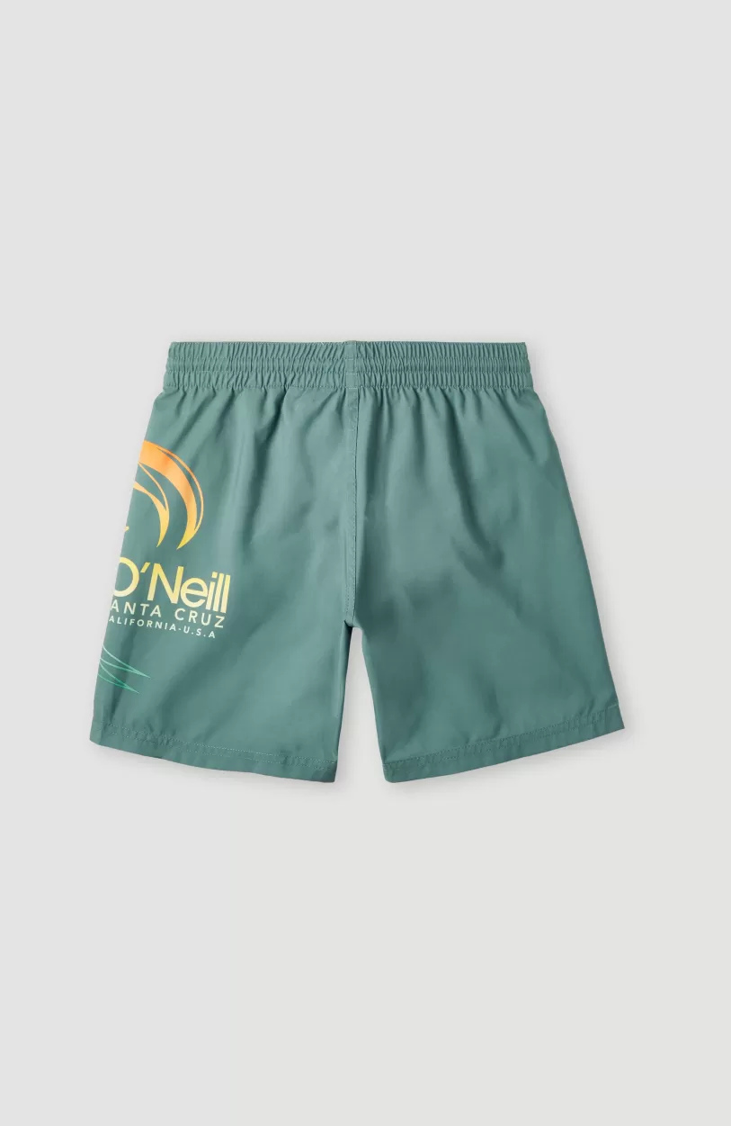 Flash Sale O’Neill Circle Surfer 14" Zwemshort | North Atlantic Circle Surfer Gradient