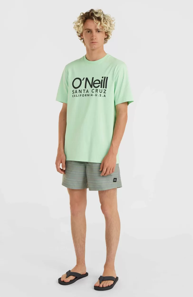 New O’Neill Jack O'Neill Cali First 15" Zwembroek | Green First Name Stripe