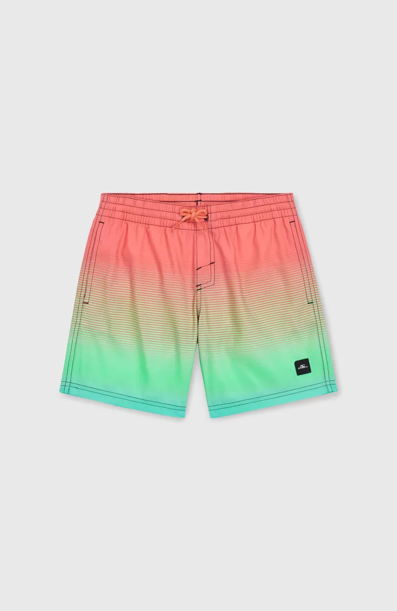 Discount O’Neill Jack O'Neill Cali Gradient 14" Zwembroek | Living Coral Simple Gradient Panel