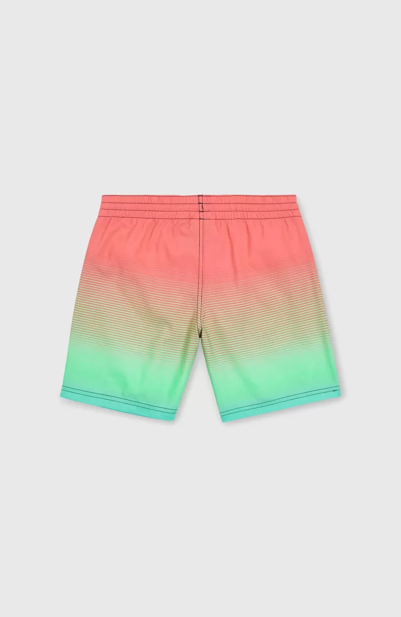 Discount O’Neill Jack O'Neill Cali Gradient 14" Zwembroek | Living Coral Simple Gradient Panel