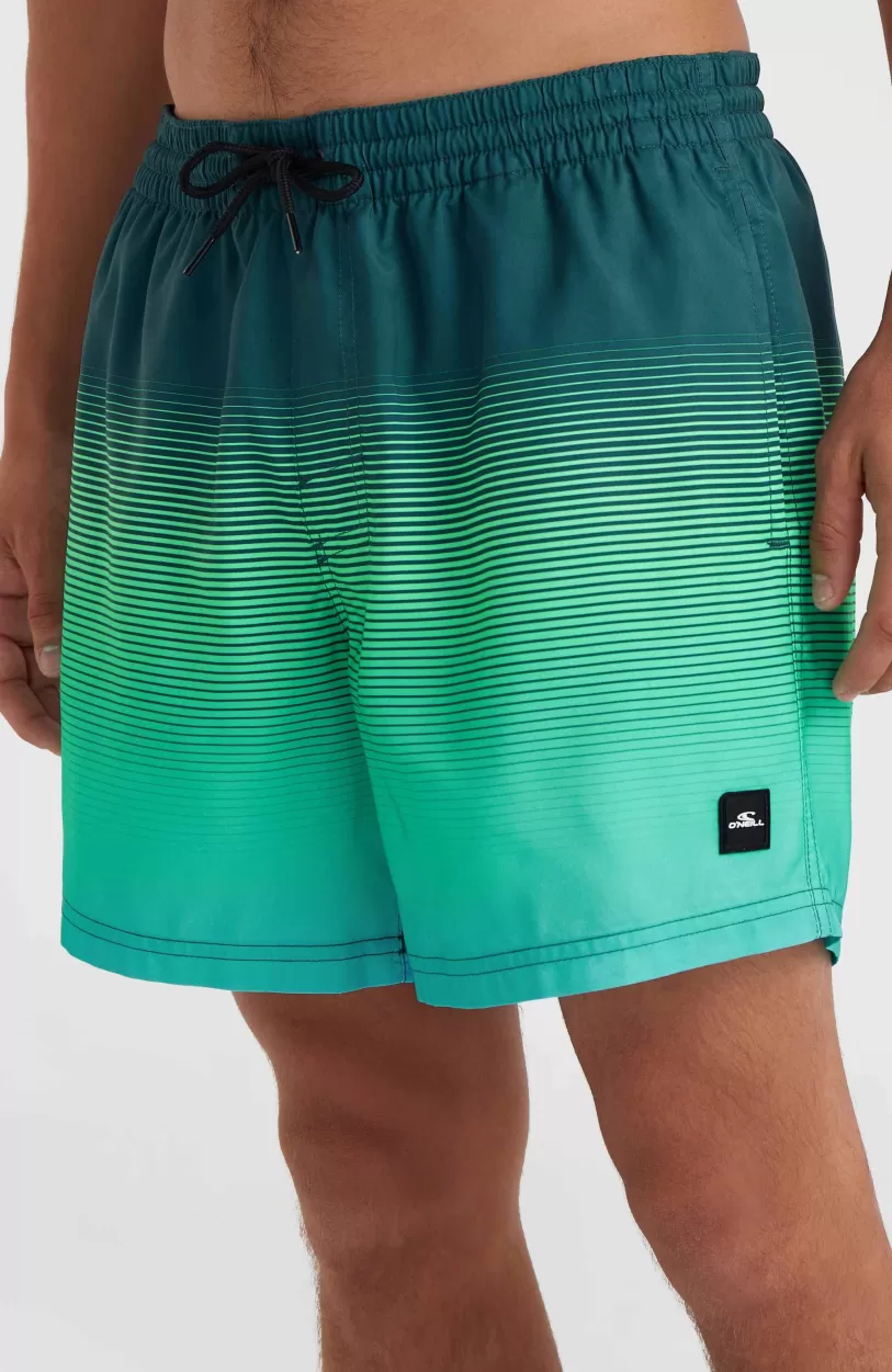 Fashion O’Neill Jack O'Neill Cali Gradient 15" Zwembroek | Beetle Juice Simple Gradient Panel