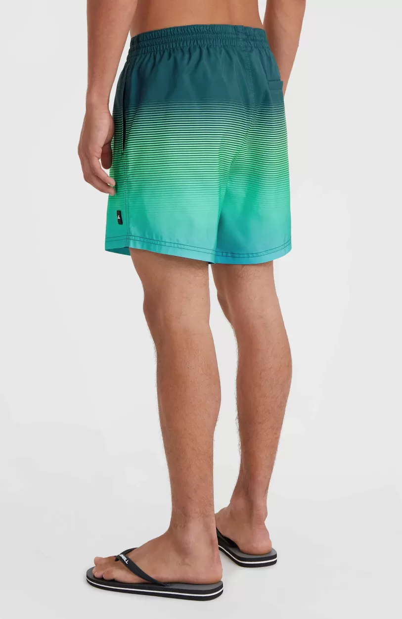 Fashion O’Neill Jack O'Neill Cali Gradient 15" Zwembroek | Beetle Juice Simple Gradient Panel