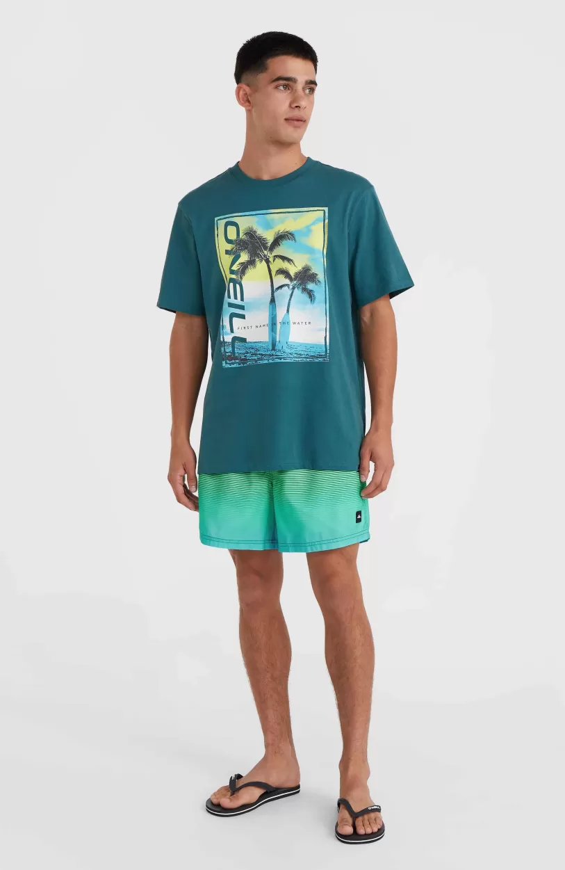 Fashion O’Neill Jack O'Neill Cali Gradient 15" Zwembroek | Beetle Juice Simple Gradient Panel
