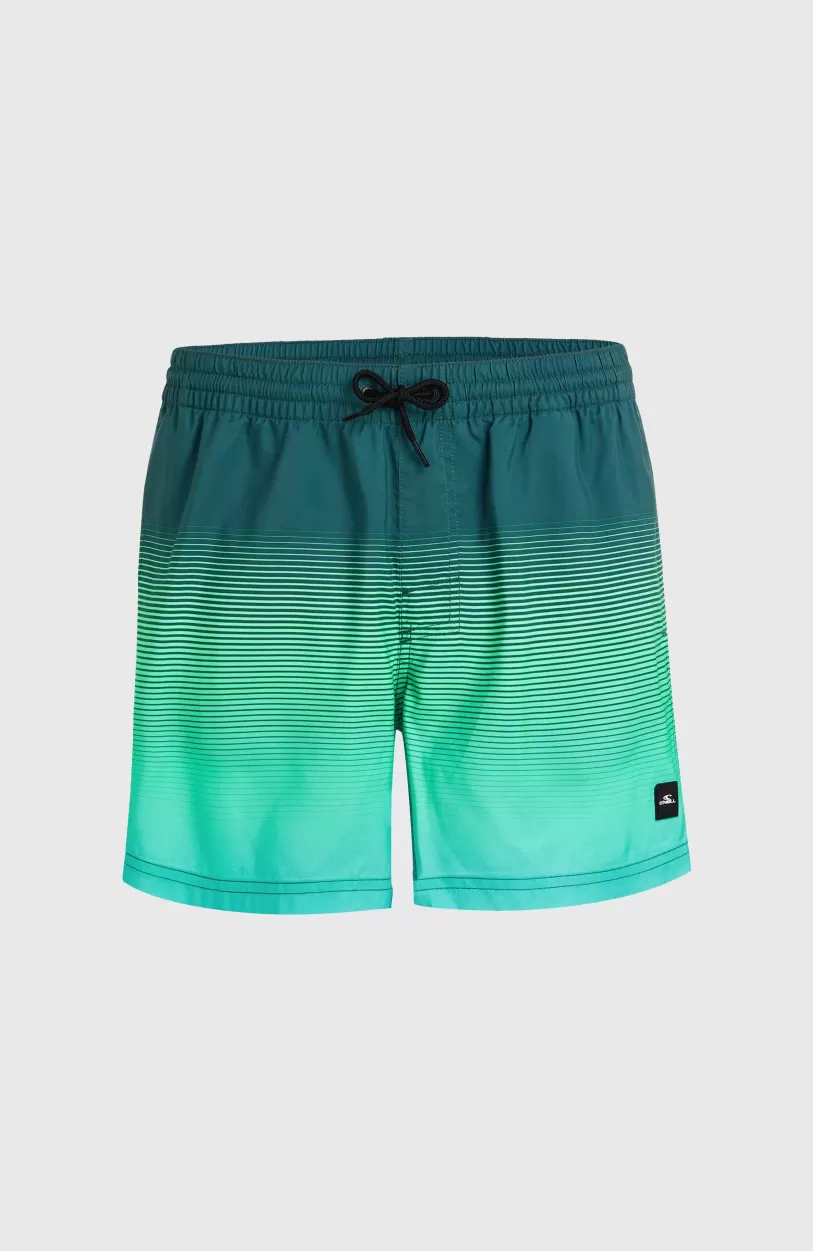 Fashion O’Neill Jack O'Neill Cali Gradient 15" Zwembroek | Beetle Juice Simple Gradient Panel