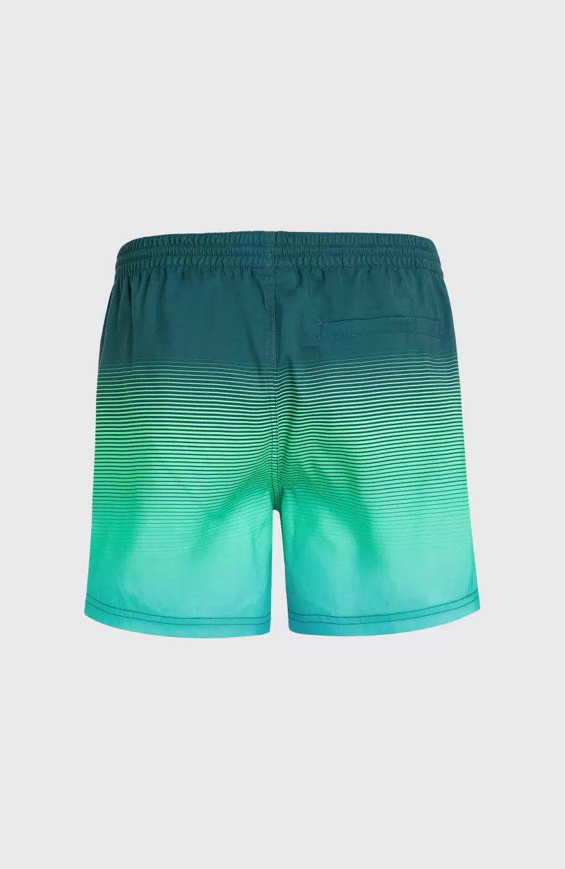 Fashion O’Neill Jack O'Neill Cali Gradient 15" Zwembroek | Beetle Juice Simple Gradient Panel