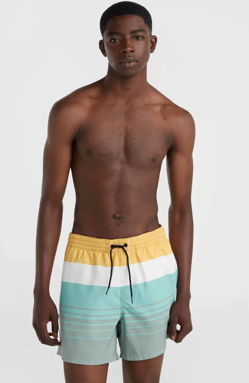 Discount O’Neill Mix And Match Cali Print 15'' Zwembroek | Green Mix&Match Panel Print
