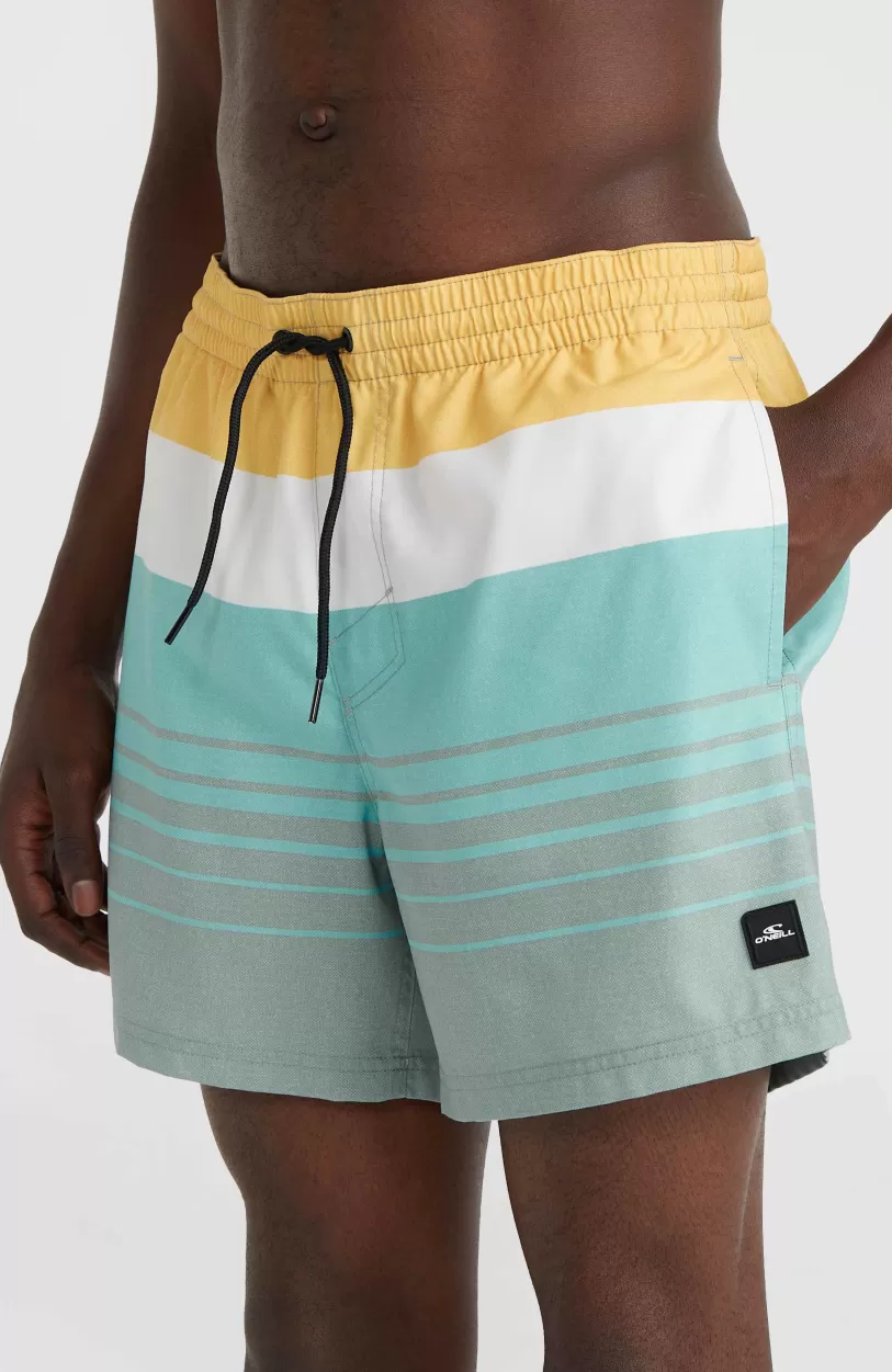 Discount O’Neill Mix And Match Cali Print 15'' Zwembroek | Green Mix&Match Panel Print