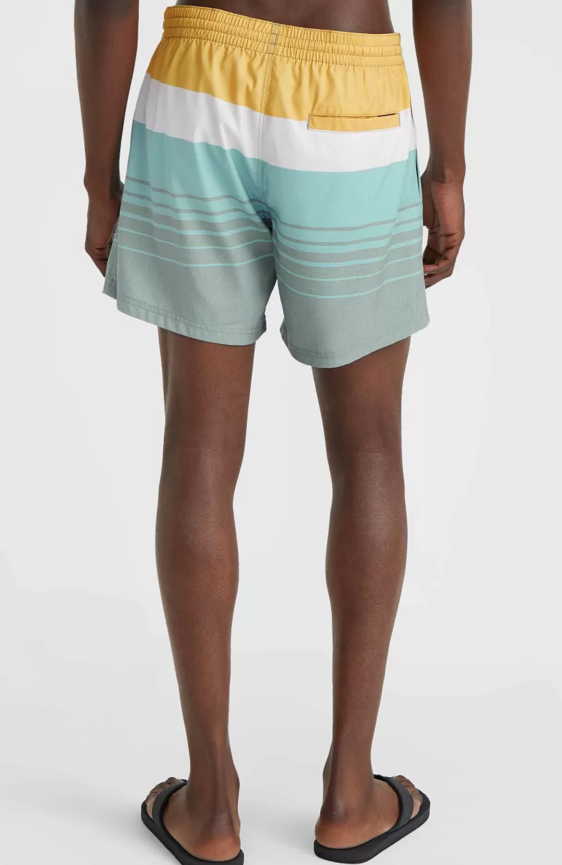Discount O’Neill Mix And Match Cali Print 15'' Zwembroek | Green Mix&Match Panel Print