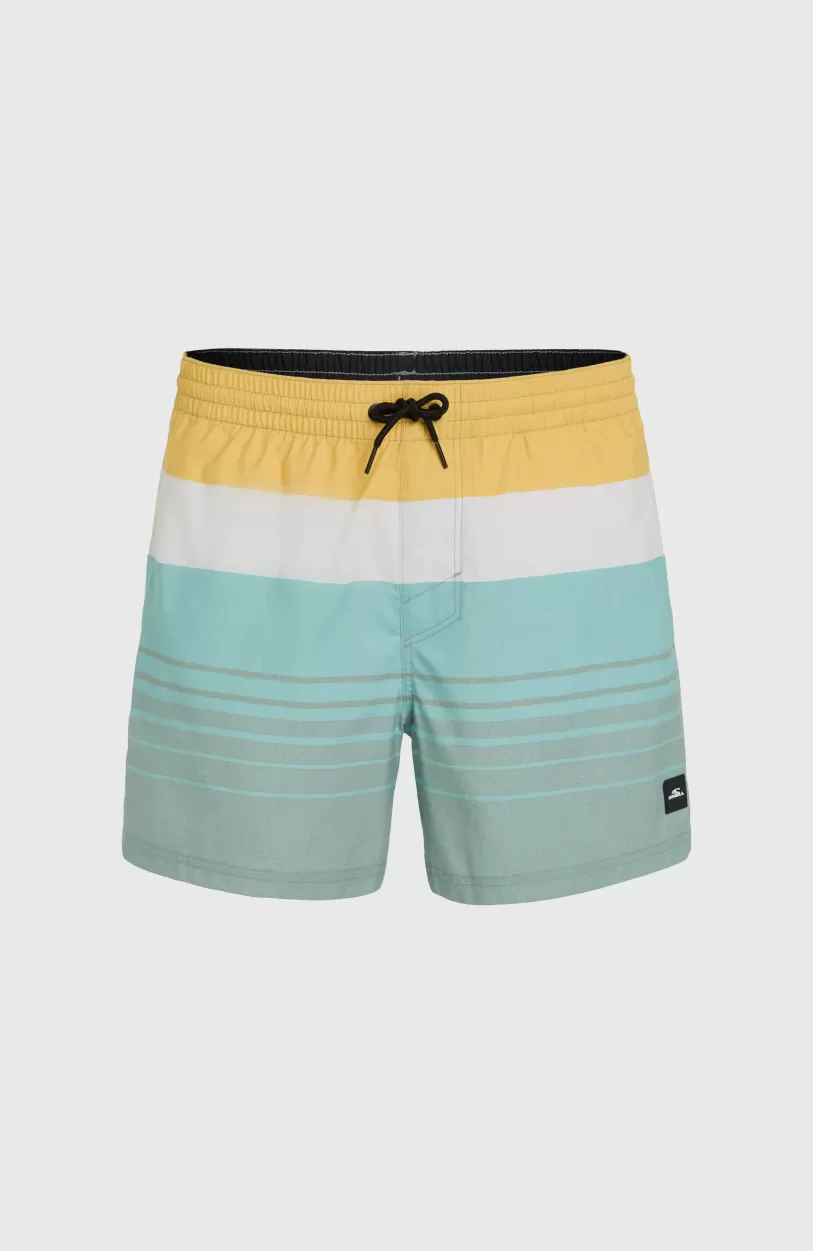 Discount O’Neill Mix And Match Cali Print 15'' Zwembroek | Green Mix&Match Panel Print