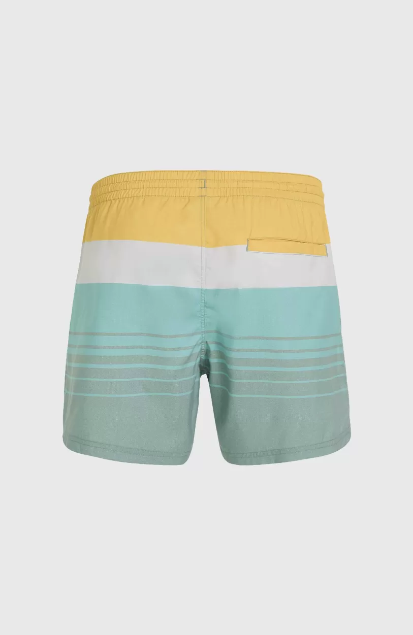 Discount O’Neill Mix And Match Cali Print 15'' Zwembroek | Green Mix&Match Panel Print