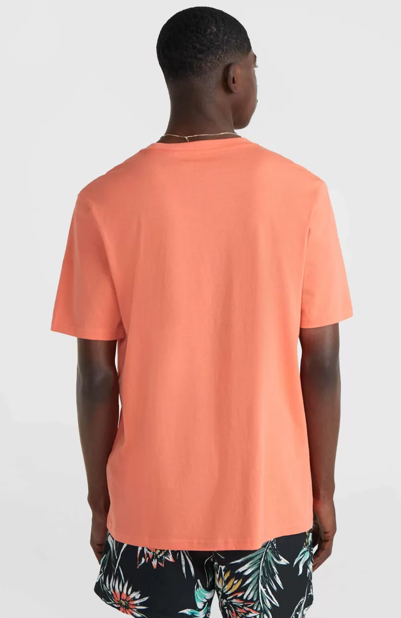 Best O’Neill Mix And Match Palm T-shirt | Living Coral