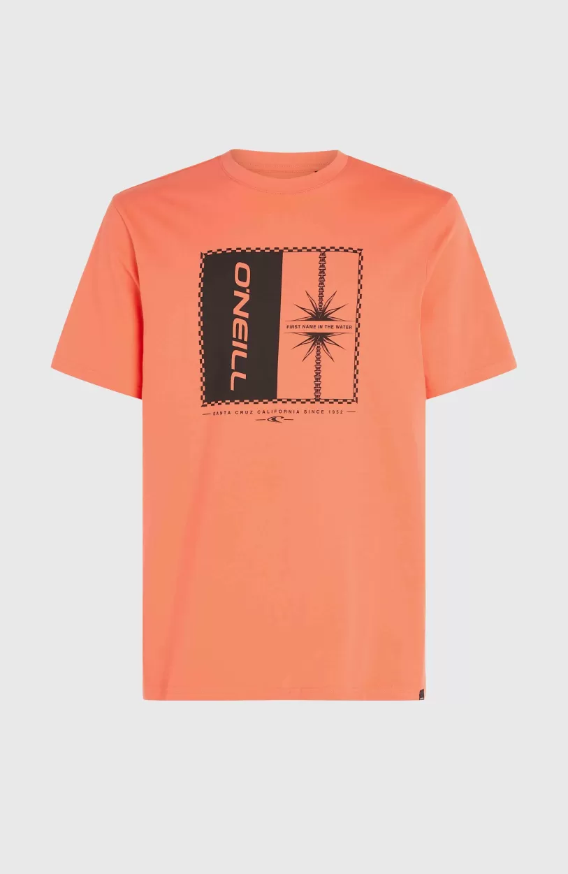 Best O’Neill Mix And Match Palm T-shirt | Living Coral