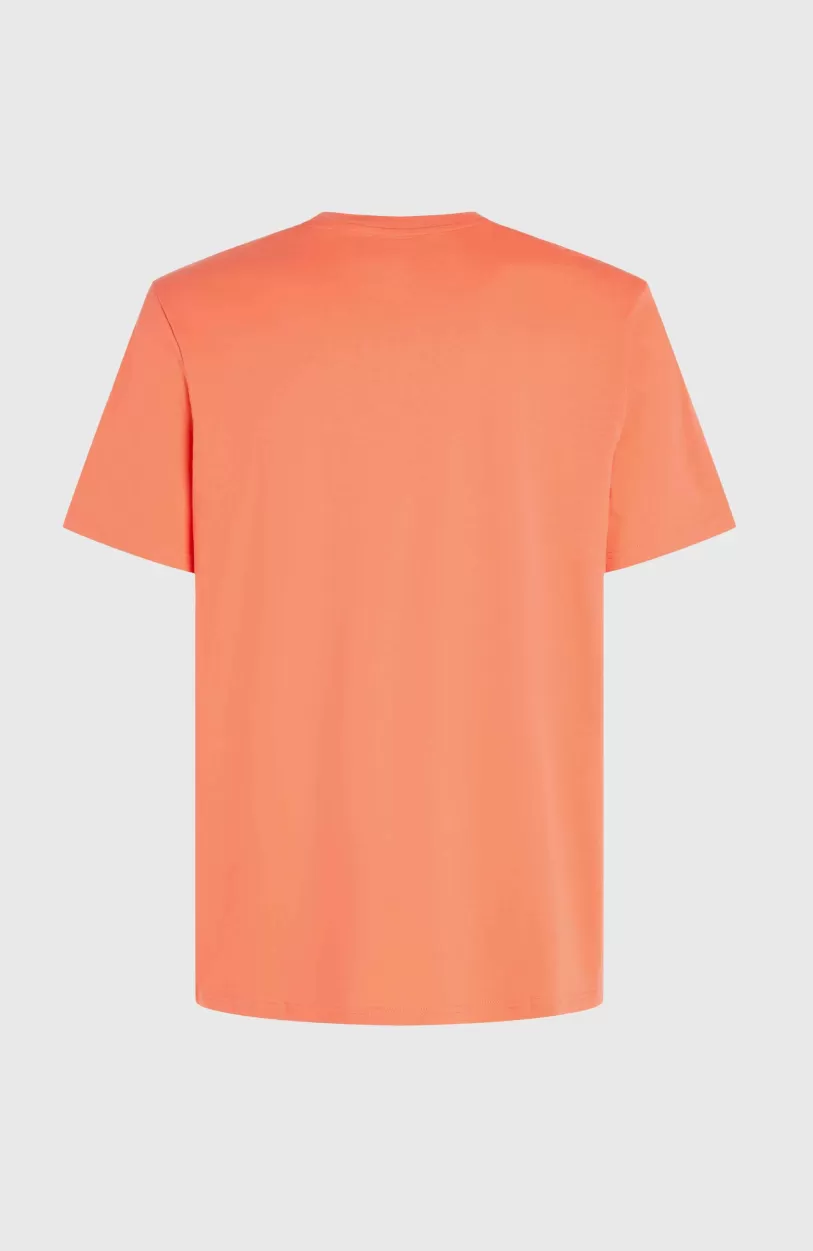 Best O’Neill Mix And Match Palm T-shirt | Living Coral