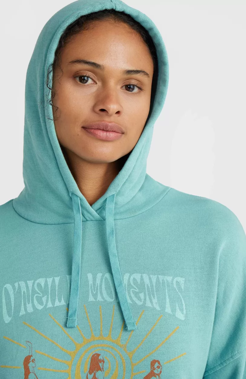 Shop O’Neill O'Neill Beach Vintage Hoodie | Ripling Shores