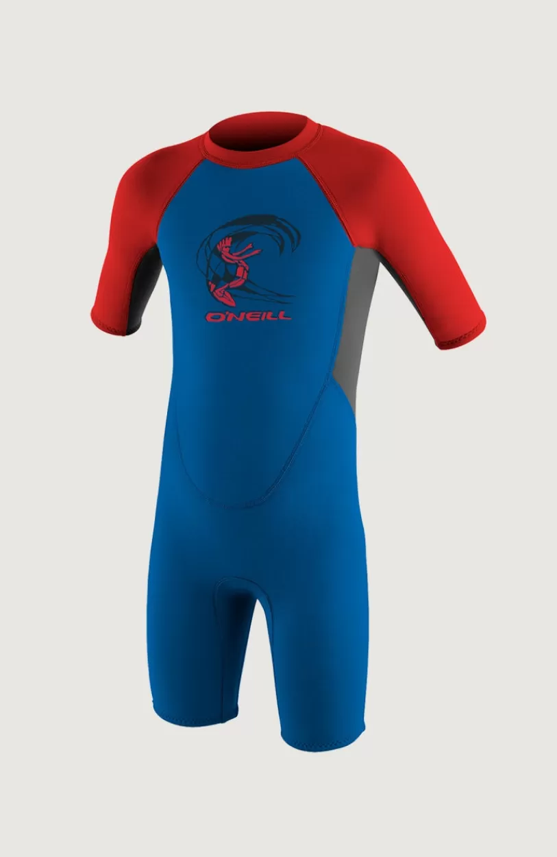 Discount O’Neill Reactor-2 2mm Back Zip Shortsleeve Spring Wetsuit | Blue