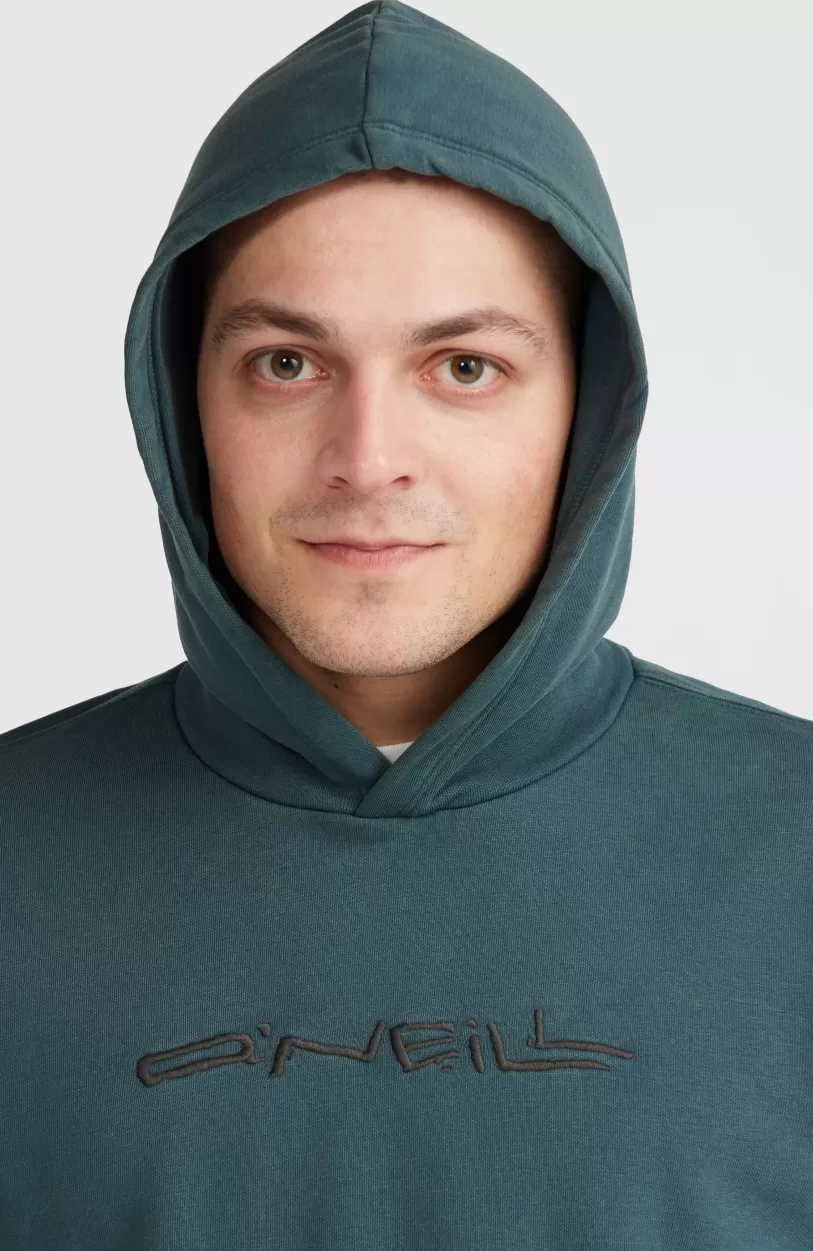 Fashion O’Neill Surf Heroes Hoodie | Alma Steel