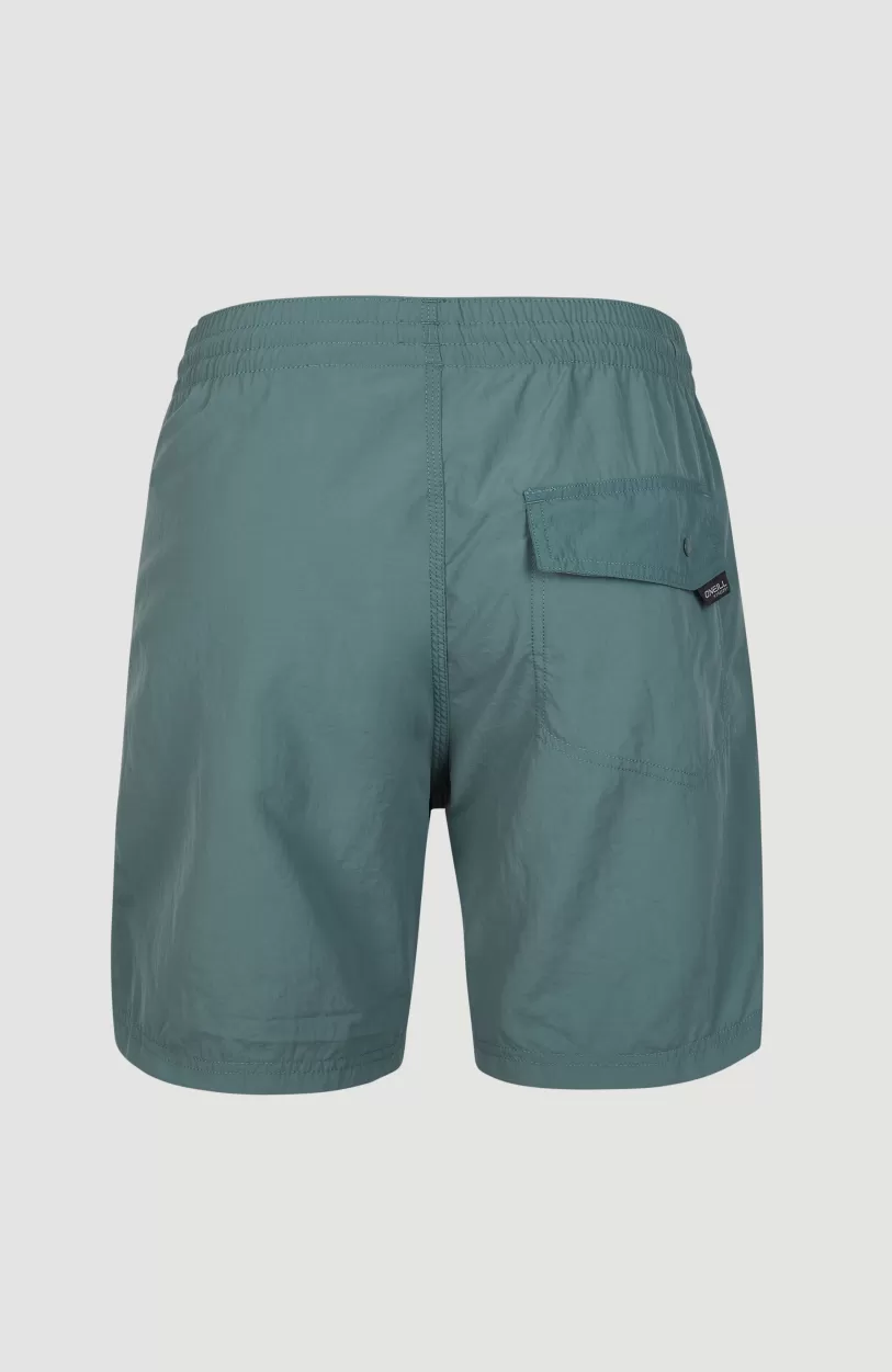 Fashion O’Neill Zwemshort Vert 16'' | North Atlantic